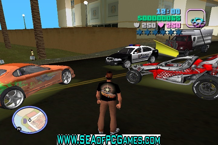 GTA Vice City Rowdy Rathore 1 PC Game With Audio