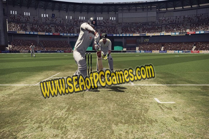 EA Sports Cricket 2015 100% Working Game Free For PC